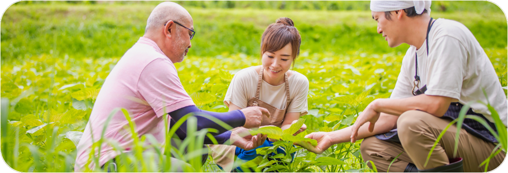 しまやの仕事《人材育成》